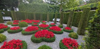 Jardín en Bruselas.