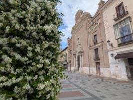 Plaza del Jardinillo en mayo de 2026. (Foto: La Crónic@)