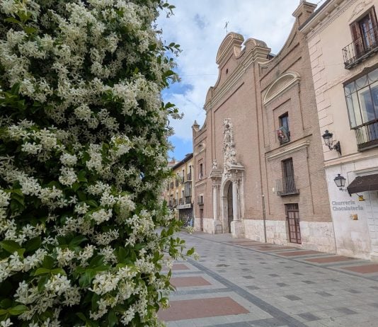 Plaza del Jardinillo en mayo de 2026. (Foto: La Crónic@)