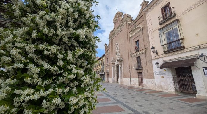 Plaza del Jardinillo en mayo de 2026. (Foto: La Crónic@)