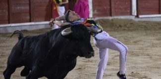 Los recortes no defraudaron Recortes Feria Chica 2026
