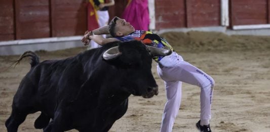 Los recortes no defraudaron Recortes Feria Chica 2026