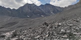 Descubren una biodiversidad desconocida bajo los glaciares rocosos alpinos amenazada por el calentamiento global glaciar