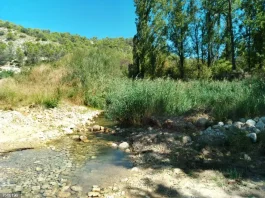 El Ompolveda, en Pareja.
