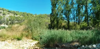 El Ompolveda, en Pareja.