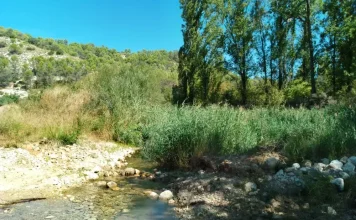 El Ompolveda, en Pareja.