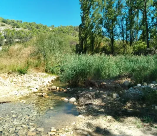 Salvar el Ompolveda con dinero europeo es lo que han propuesto en un pueblo de Guadalajara El Ompolveda, en Pareja.