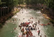 10.000 personas se han acercado a Trillo para ver las Vacas al Tajo Vacas al Tajo 2026.
