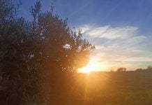 Sólo Guadalajara se libra de la alerta naranja por calor este martes en Castilla-La Mancha Calor