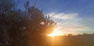Sólo Guadalajara se libra de la alerta naranja por calor este martes en Castilla-La Mancha Calor