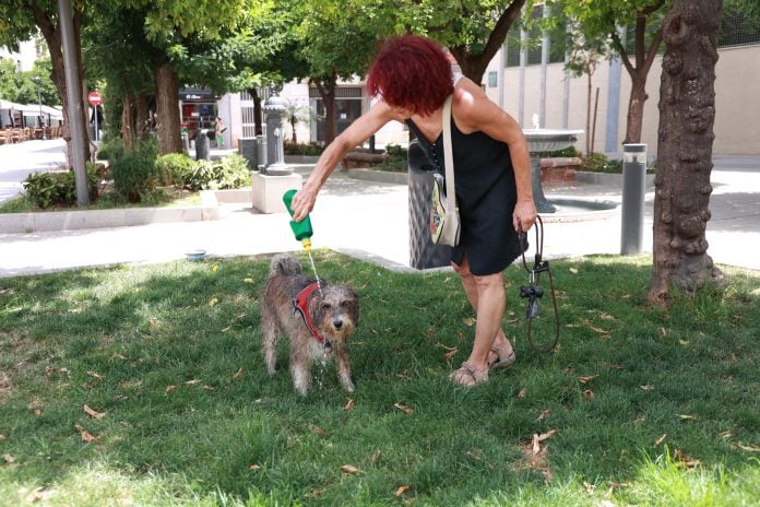 Las mascotas también sufren las consecuencias de las olas de calor. (Foto: EP)
