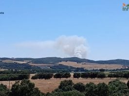 Incendio forestal en Malaguilla.