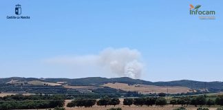 Incendio forestal en Malaguilla.