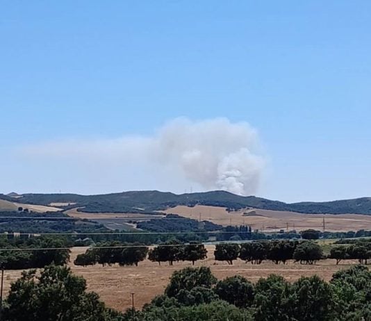 Incendio forestal en Malaguilla.
