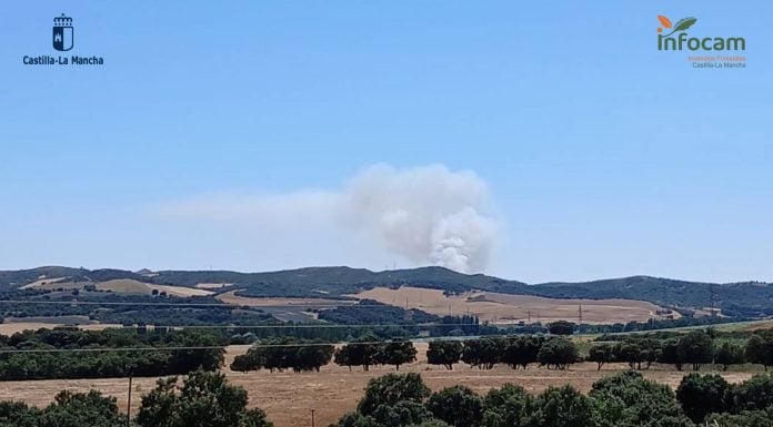 Controlado, pero no extinguido, el incendio entre Robledillo y Malaguilla Incendio forestal en Malaguilla.