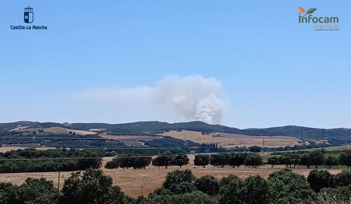 Incendio forestal en Malaguilla.