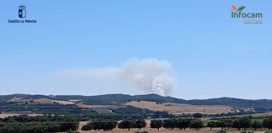 El incendio de Malaguilla y Robledillo está aún sin controlar Incendio forestal en Malaguilla, Guadalajara.