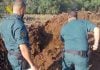 Mata a tiros a 5 perros de otros propietarios perros matados a tiros