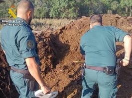 perros matados a tiros