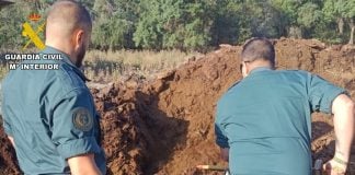 Mata a tiros a 5 perros de otros propietarios perros matados a tiros