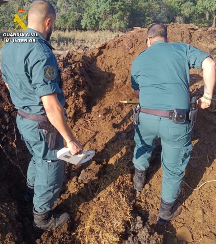 perros matados a tiros
