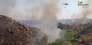 Ya van 764 incendios este año en Castilla-La Mancha Incendio