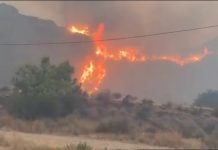 Al menos 11 muertos en el incendio de Almería Incendio de almería