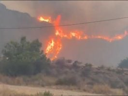 Incendio de almería