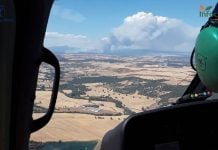 El incendio de La Mierla va a arrasar miles de hectáreas, según se prevé El incendio de La Mierla ha arrasado unas 800 hectáreas y requerirá "un gran esfuerzo" para controlarlo.