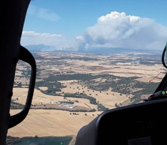 El incendio de La Mierla va a arrasar miles de hectáreas, según se prevé El incendio de La Mierla ha arrasado unas 800 hectáreas y requerirá "un gran esfuerzo" para controlarlo.