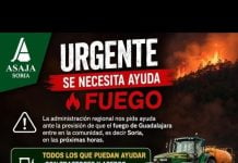 Ya se temen que el fuego de Guadalajara salte a Soria incendio de Guadalajara Soria