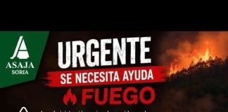 incendio de Guadalajara Soria