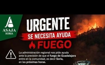 El lunes se consideraba «probable» que el fuego de Guadalajara saltara a Soria incendio de Guadalajara Soria