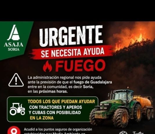 Es «probable» que el fuego de Guadalajara salte a Soria incendio de Guadalajara Soria