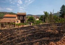 Vuelta a casa en la Sierra Norte Hay mucho que poner en orden tras el incendio de la Sierra Norte. (Foto: EP)
