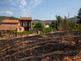 Hay mucho que poner en orden tras el incendio de la Sierra Norte. (Foto: EP)