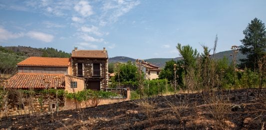 Vuelta a casa en la Sierra Norte Hay mucho que poner en orden tras el incendio de la Sierra Norte. (Foto: EP)