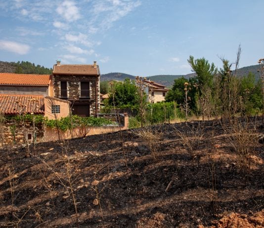Hay mucho que poner en orden tras el incendio de la Sierra Norte. (Foto: EP)