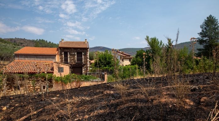 Vuelta a casa en la Sierra Norte Hay mucho que poner en orden tras el incendio de la Sierra Norte. (Foto: EP)