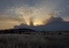 ¿Por qué hay emergencia nacional en Madrid y Ávila? La nube de humo tapaba completamente el sol la tarde del jueves en Madrid.