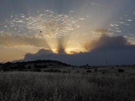 La nube de humo tapaba completamente el sol la tarde del jueves en Madrid.
