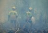 El eclipse puede traer incendios forestales Bomberos del Ayuntamiento de Guadalajara trabajando en la extinción del incendio de La Mierla. REMITIDA / HANDOUT por AYUNTAMIENTO DE GUADALAJARA Fotografía remitida a medios de comunicación exclusivamente para ilustrar la noticia a la que hace referencia la imagen, y citando la procedencia de la imagen en la firma 24/7/2026