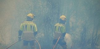 Bomberos del Ayuntamiento de Guadalajara trabajando en la extinción del incendio de La Mierla. REMITIDA / HANDOUT por AYUNTAMIENTO DE GUADALAJARA Fotografía remitida a medios de comunicación exclusivamente para ilustrar la noticia a la que hace referencia la imagen, y citando la procedencia de la imagen en la firma 24/7/2026