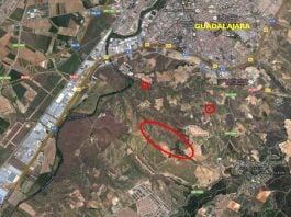 Ubicación de la parcela de Reyal Urbis que sale a subasta cerca de Guadalajara.