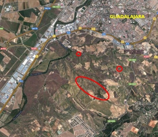 Ubicación de la parcela de Reyal Urbis que sale a subasta cerca de Guadalajara.