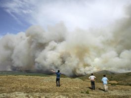 Parte del frente del incendio de 2005.