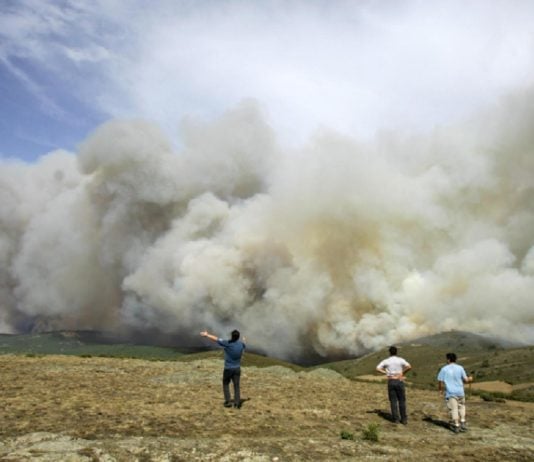 Parte del frente del incendio de 2005.