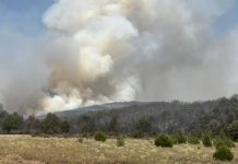 Incendio de Selas.