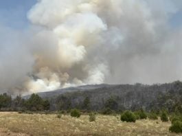 Incendio de Selas.