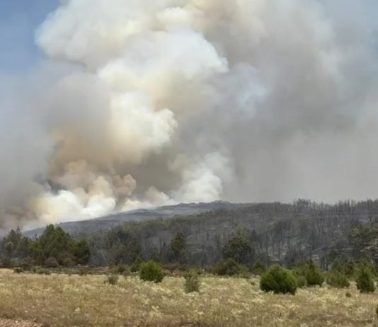El incendio de Selas puede quemar miles de hectáreas: ya lleva 1.700 en unas horas Incendio de Selas.